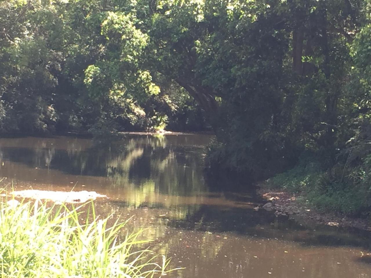Yandina Caravan Park ภายนอก รูปภาพ